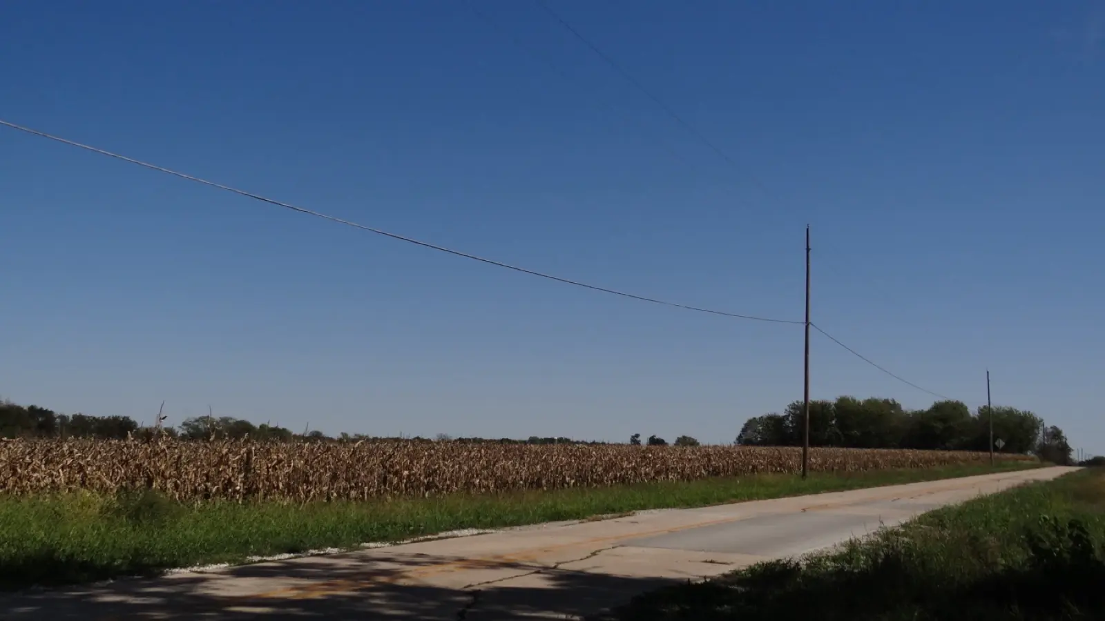 Old concrete two-lane road beside a field of dry, golden corn under a clear blue sky in central Illinois