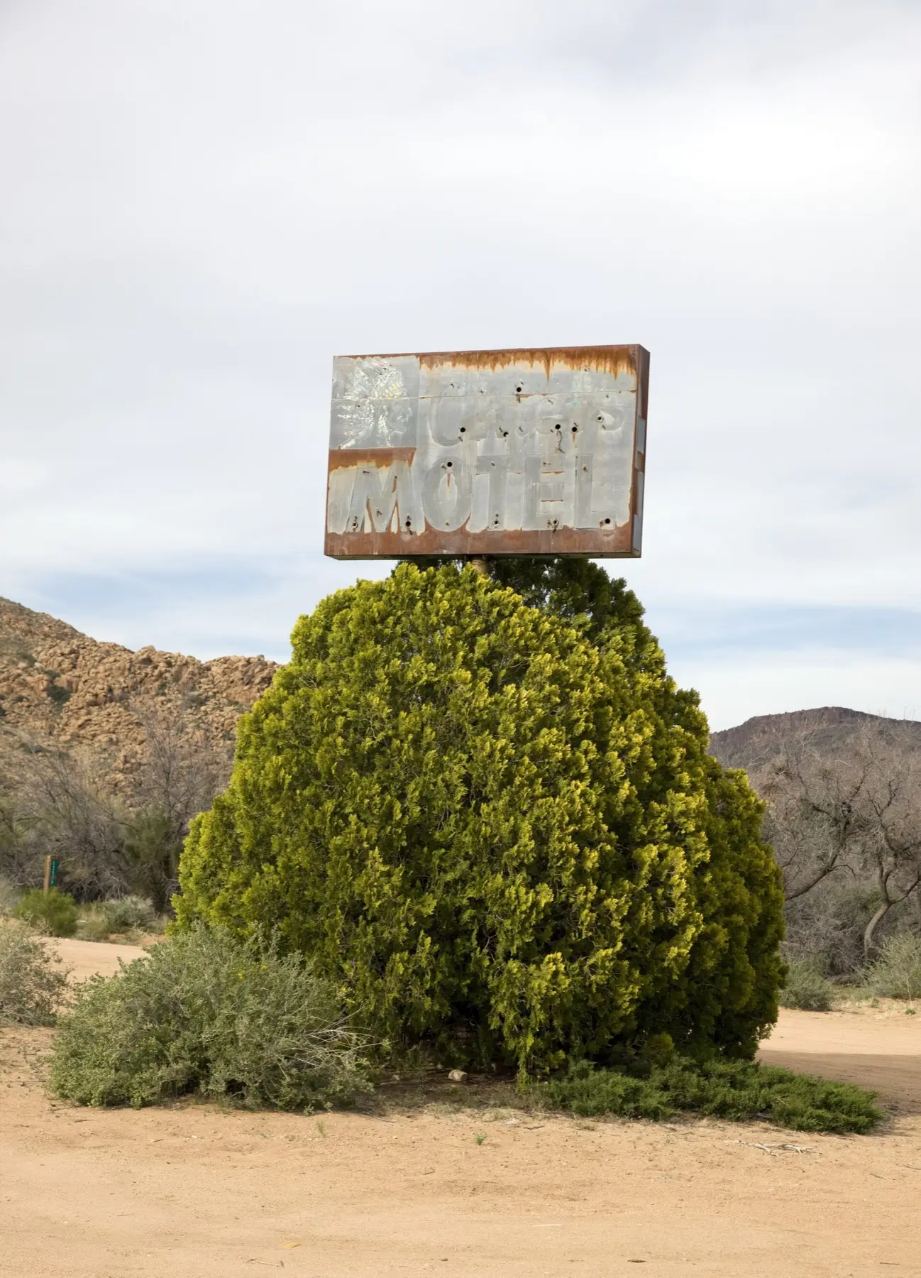 A rusted, bullet-holed motel sign on a pole rising out of a large green shrub beside a dirt lot, with rocky desert hills behind, in Truxton, Arizona